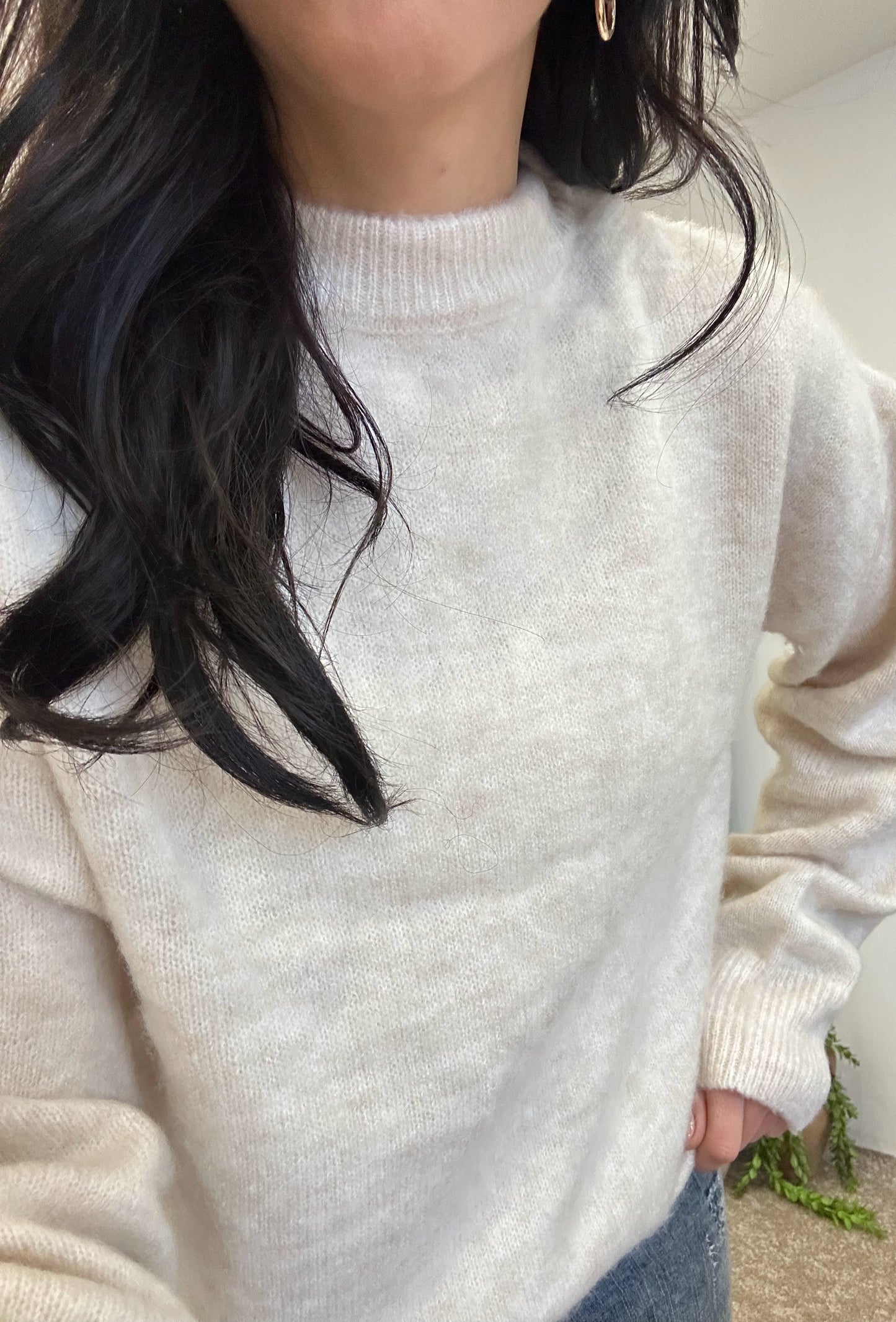 Beige Sweater round neck